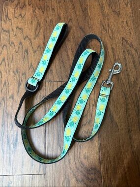 Pineapple Print Pet Leash in Aqua 6 foot